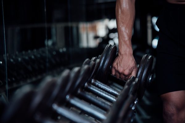 Workout forza